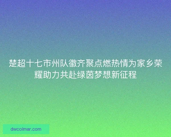 楚超十七市州队徽齐聚点燃热情为家乡荣耀助力共赴绿茵梦想新征程